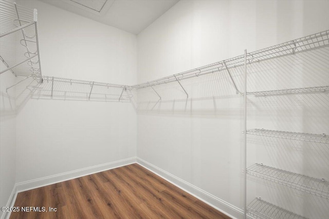 spacious closet with hardwood / wood-style flooring