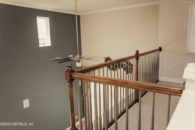 stairway featuring crown molding, ceiling fan, and carpet