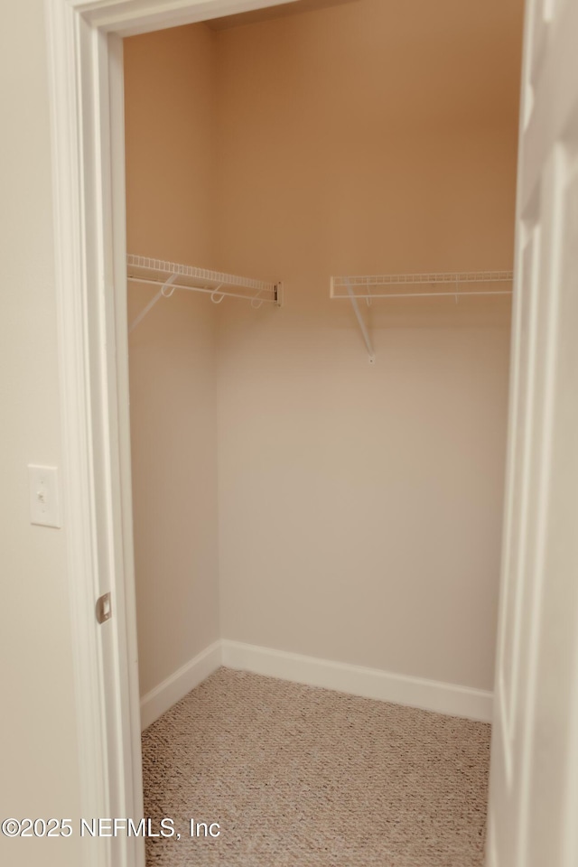 view of walk in closet