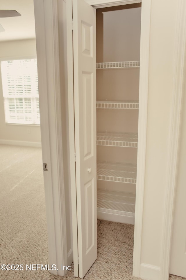 view of closet