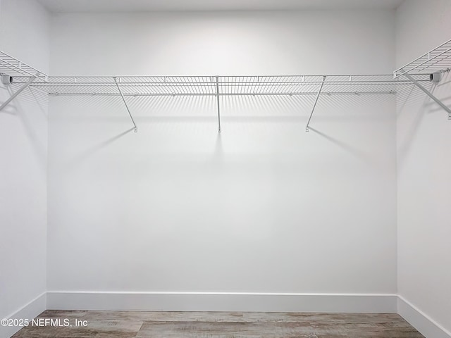 walk in closet featuring hardwood / wood-style flooring