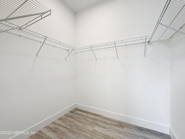 walk in closet with wood-type flooring