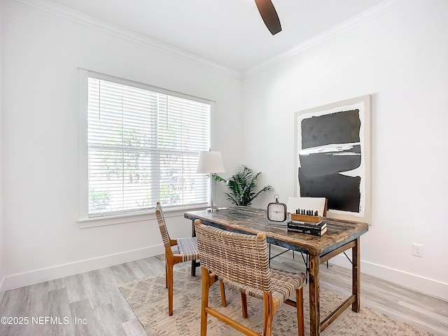 office featuring crown molding, ceiling fan, and light wood-type flooring