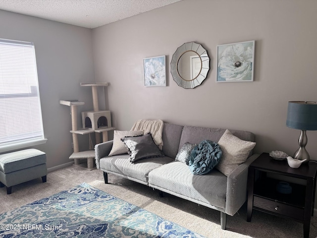 carpeted living room featuring a textured ceiling