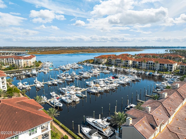 view of water feature with a boat dock