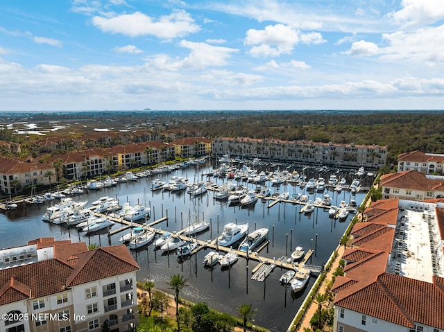 aerial view with a water view