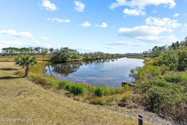 property view of water