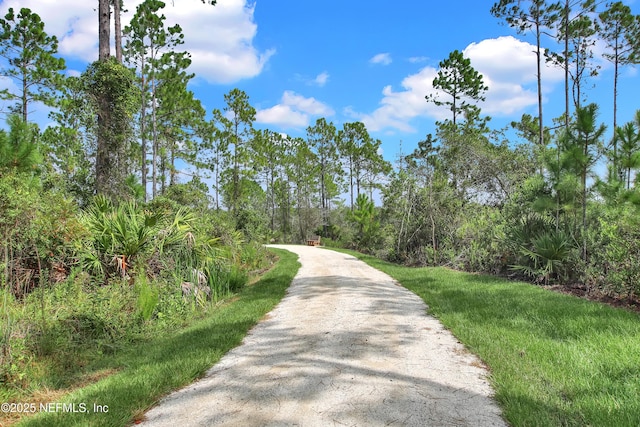 view of road