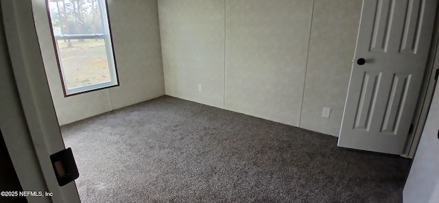 carpeted empty room with a healthy amount of sunlight