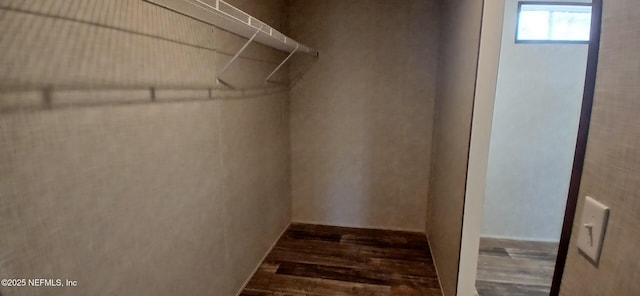 walk in closet featuring dark wood-type flooring