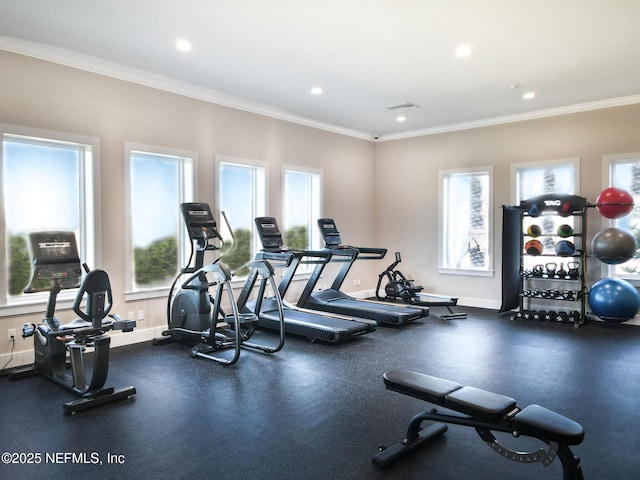 gym featuring ornamental molding and a wealth of natural light