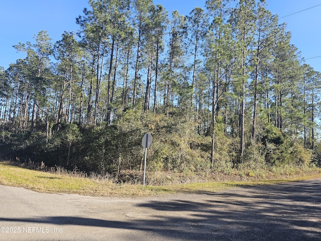 4075 Cedar Ford Blvd, Hastings FL, 32145 land for sale