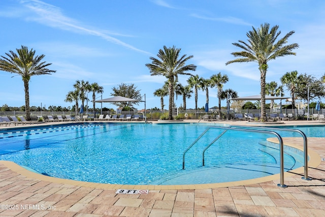 view of pool featuring a patio