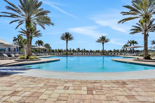 view of swimming pool