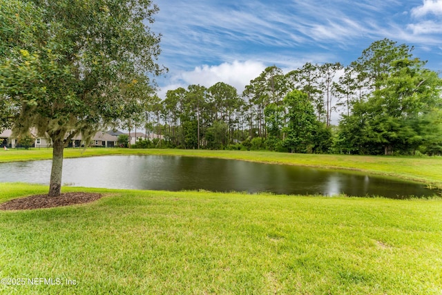 view of water feature