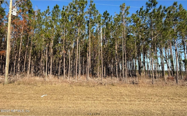 Listing photo 2 for TBD NW County Road 251, Mayo FL 32066