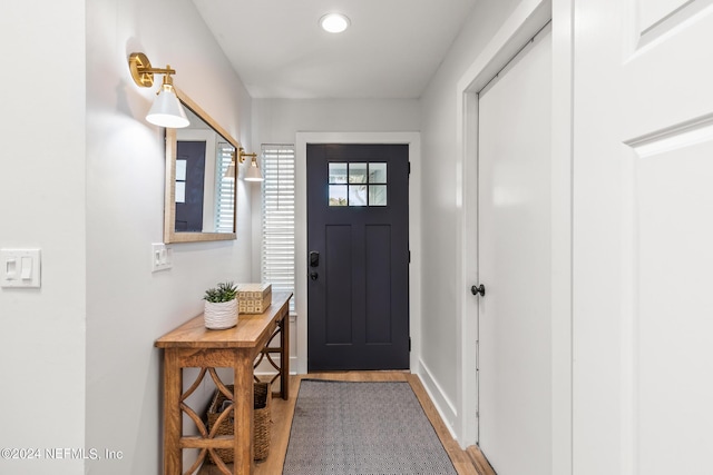 entryway with wood-type flooring