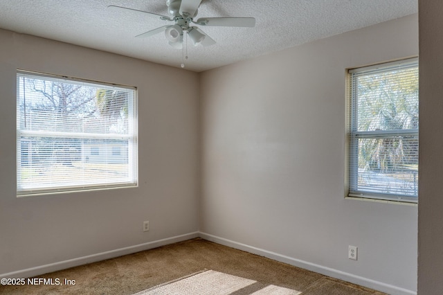 unfurnished room featuring carpet floors, a healthy amount of sunlight, and a textured ceiling