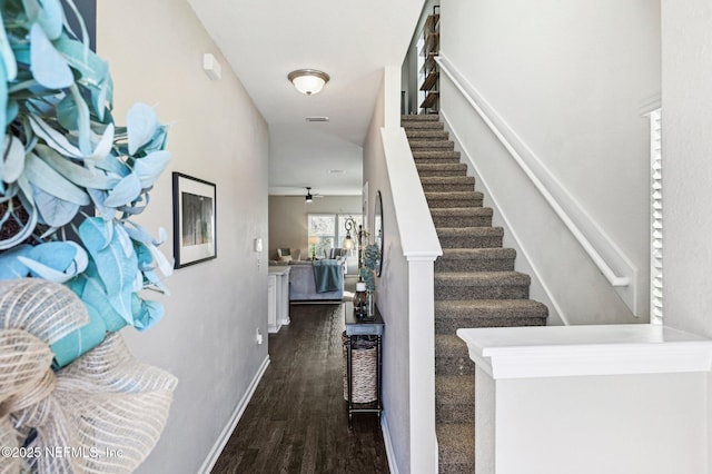 foyer with dark wood-type flooring