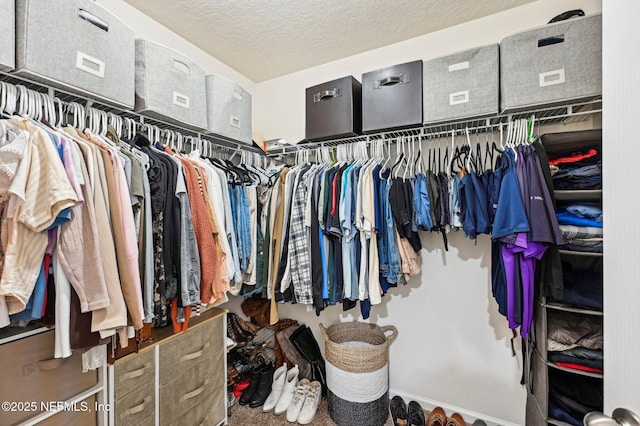 view of spacious closet