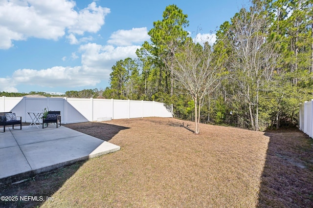 view of yard featuring a patio area