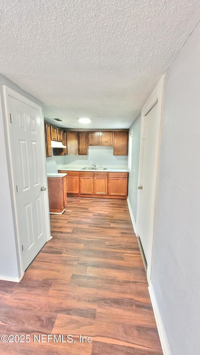 kitchen with sink, hardwood / wood-style floors, and a textured ceiling