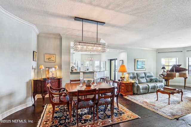 dining room with crown molding, dark hardwood / wood-style floors, and a textured ceiling