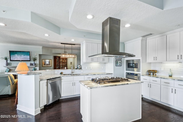 kitchen with appliances with stainless steel finishes, island range hood, white cabinets, and kitchen peninsula