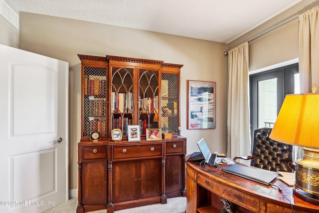 view of carpeted home office