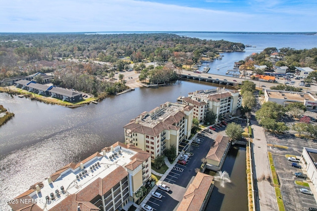 aerial view with a water view