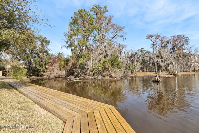 dock area with a water view