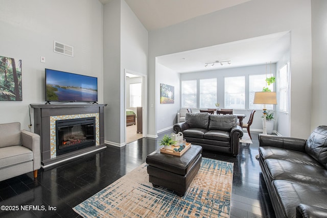 living room featuring a high ceiling and dark hardwood / wood-style floors