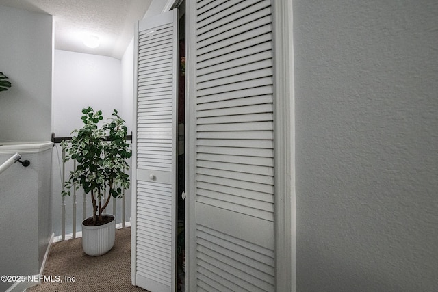 hallway featuring a textured ceiling and carpet flooring