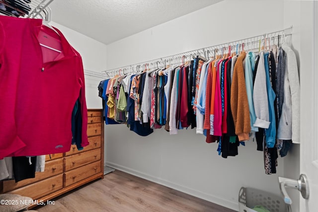 walk in closet with hardwood / wood-style flooring