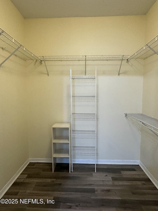 spacious closet featuring dark hardwood / wood-style flooring