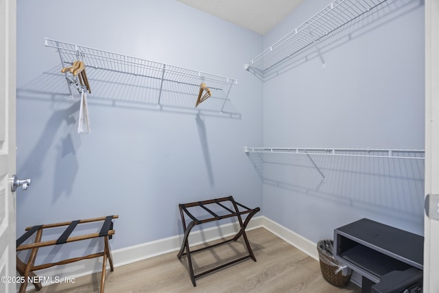 spacious closet featuring light wood-type flooring