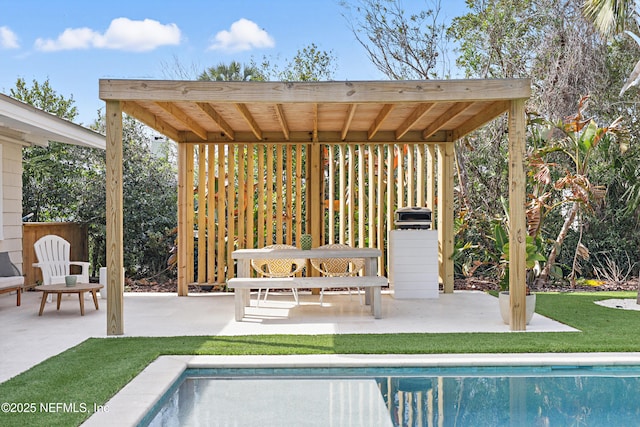 view of swimming pool with a patio area and a lawn