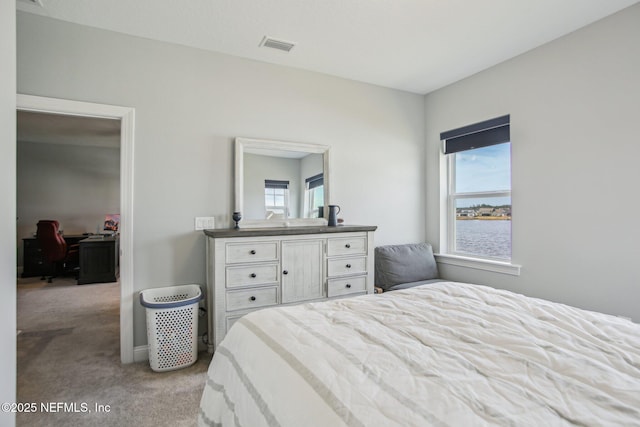 bedroom featuring multiple windows and light carpet