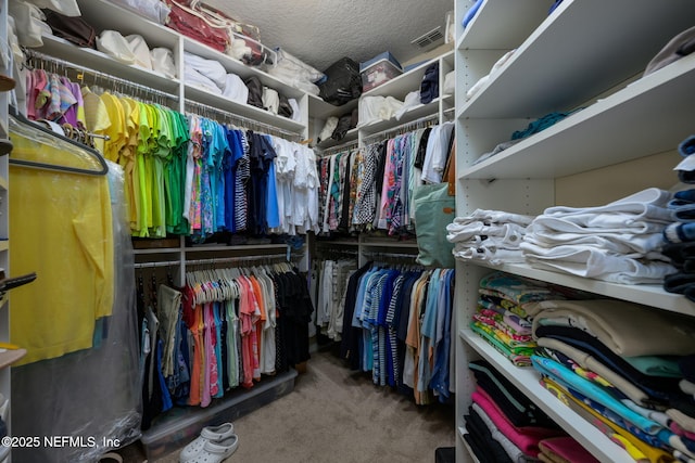 walk in closet with carpet floors