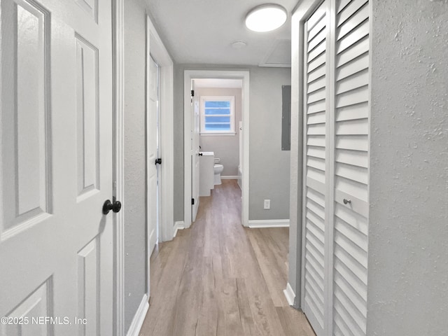 hall featuring light hardwood / wood-style flooring and electric panel