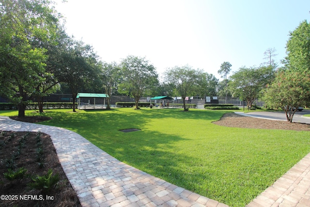 view of community featuring a yard