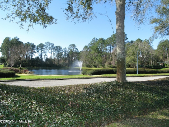 view of community featuring a water view and a lawn