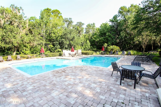 view of pool featuring a patio