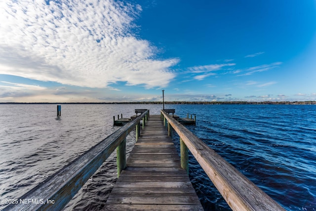 dock area with a water view