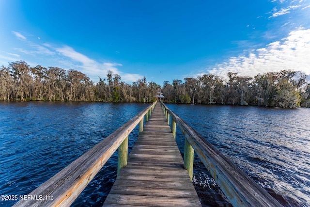 dock area featuring a water view