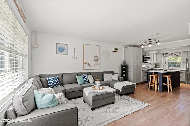 living room with sink and light hardwood / wood-style floors