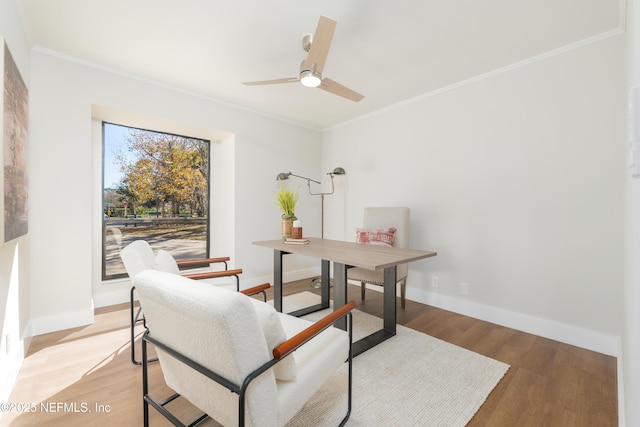 office with ornamental molding, ceiling fan, and light hardwood / wood-style flooring