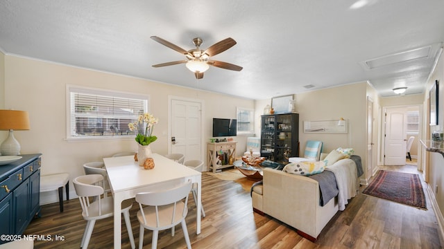 living room with a textured ceiling, dark wood-type flooring, and ceiling fan