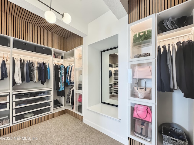 spacious closet featuring carpet flooring