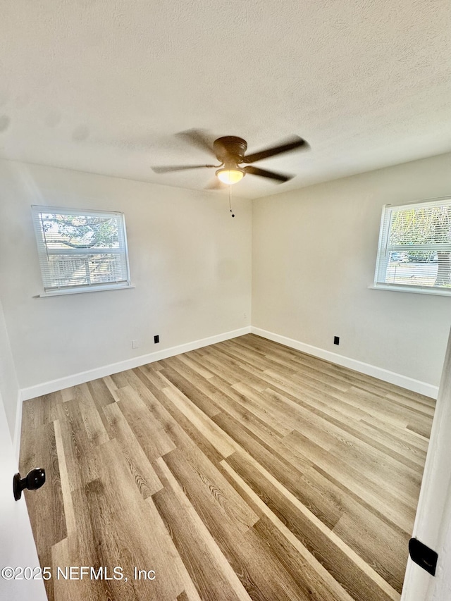 8005 Jacques Dr, Jacksonville, FL 32210 - photo 12